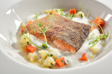 Trout Fillet in Cream Sauce with Vegetable Stew Isolated