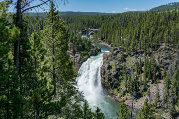 Obraz premium Upper falls in famous Yellowstone National Park, Wyoming USA