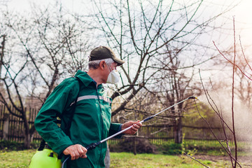 Farmer man spraying tree with manual pesticide sprayer against insects in spring garden....