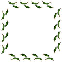 Square frame with horizontal beautiful cucumber. Isolated wreath on white background for your design