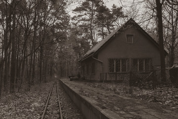 Abandoned Railway Station in Forest, forest, railway station in forest, black and white photo, sepia, old Railroad tracks in the forest