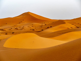 Fototapeta na wymiar Paisaje del desierto