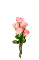 Beautiful pink roses isolated on white background top view, copy space. 