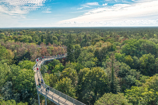  canopy walk Beelitz in autumn