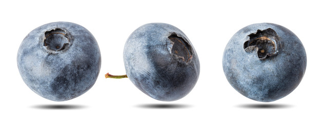 Blueberries isolated on white background with clipping path