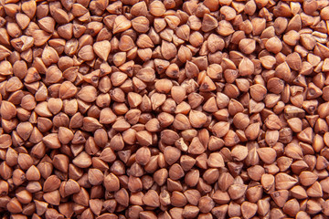 Buckwheat texture. Buckwheat groats background with copy space. Healthy eating concept