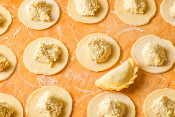 Beautiful delicious dumplings on a wooden Board, cooked at home.