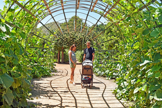 Beautiful Garden - Babylonstoren - South Africa