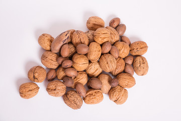 Nueces y nueces de pecán recolectadas sobre fondo blanco.