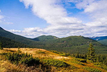 Fototapeta premium Colorful mountain landscape in the summer mountains. Large hills with blue sky.
