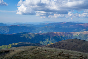 Colorful mountain landscape in the summer mountains. Large hills with blue sky.