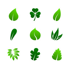 Green leaves icons. Gradient minimalist leaves, simple plant elements eco vegan bio concept. Vector set