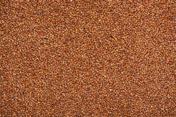 Buckwheat background, texture, the rump. Roasted buckwheat. Useful properties of buckwheat. Garnish. Ingredient, product, cook. Brown. Agribusiness, crop, organic farming. Dietary product.