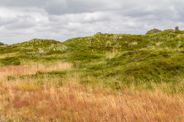 Obraz premium Spiekeroog in East Frisia