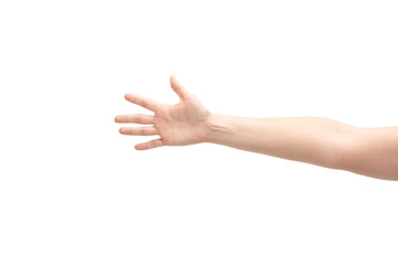 cropped view of woman showing palm isolated on white