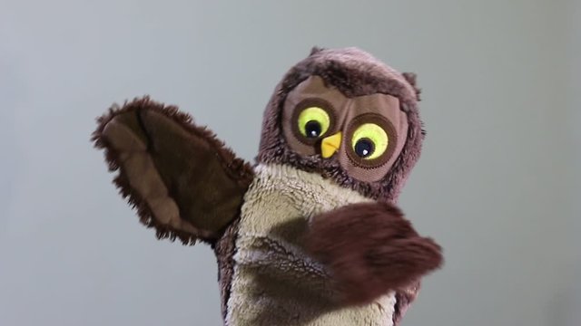 Funny toy owl dances and waves wings