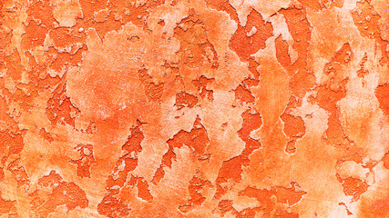 Venetian plaster with an unusual background and bright colors.