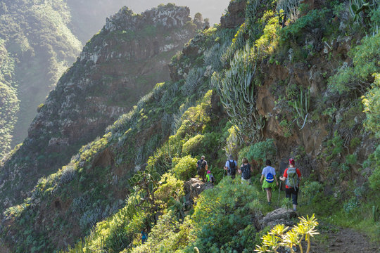 La Palma: Wanderung am Barranco Fagundo im Norden - spektakul&auml;re Aussicht in der gr&uuml;nen Schlucht