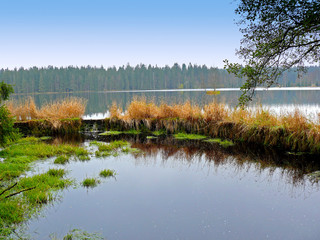 The pond in the national reservation Kladska near Horni Slavkov. There are moss and swamps. There is a nature trail through the marshes. It is situated in Czech rebulic.