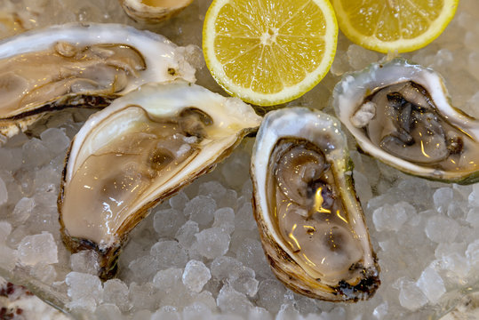 Fresh Oysters On The Half Shell And Ice With A Lemon