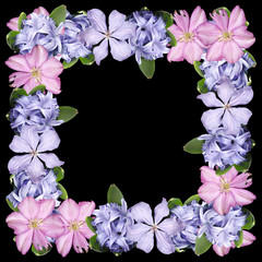 Beautiful floral pattern of clematis and hyacinth. Isolated