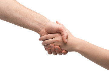 cropped view of woman and man shaking hands isolated on white