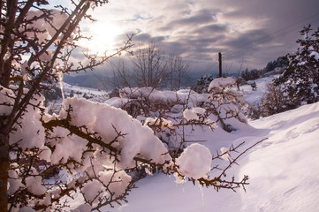Snow covered hills, paths and trees, Abant Turkey