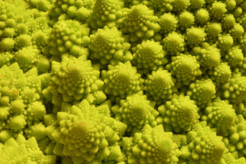 romanesco broccoli (Brassica oleracea) or romanesque cauliflower, vegetarian and vegan food.