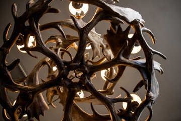 Decorative deer horns chandelier hanging from ceiling close up