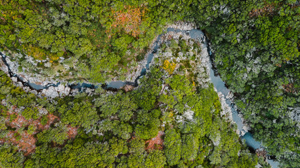 Aerial drone view looking water stream running through the tall trees of the forest in "Paul da Serra", Madeira island, Portugal