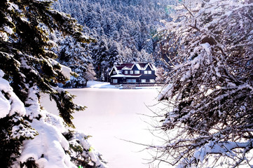 Frozen lake, small forest, house and park in snow season, Abant Bolu Turkey