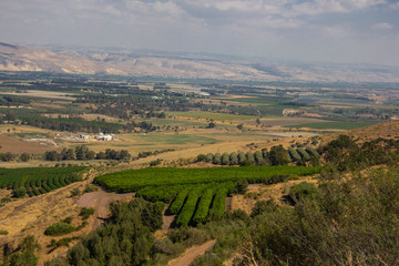 Fototapeta na wymiar Galilee farmland