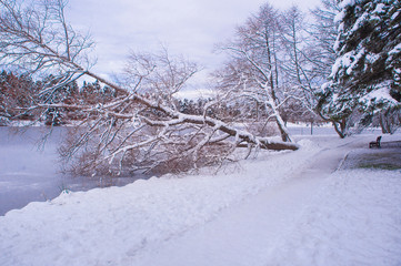 Frozen lake, small forest, house and park in snow season, Abant Bolu Turkey