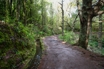 Hiking path on the Levada do Caldeirao Verde near Santana on the island of Madeira in Portugal.