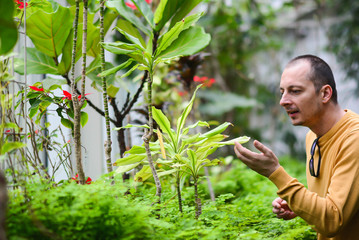 Happy relax Caucasian middle aged man enjoying with his greenhouse garden. Attractive man gardening his tree plant in his secret garden. Middle age hobby lifestyle and mental health care concept.