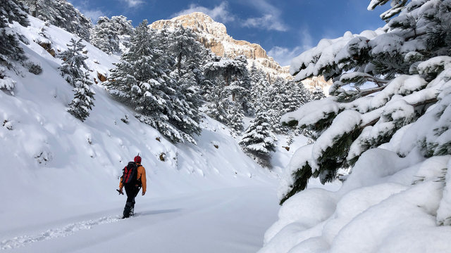 an image of a man's diary of an excursion, hiking and adventure in the snowy mountains