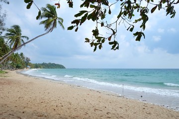 A beautiful sea beach  with curved coconut tree trunk  and wind blowing in bright day 