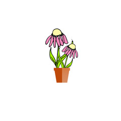 Echinacea in pot icon. Pink flowers in brown pot object isolated flat design stock vector illustration for web, for print