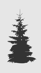 Coniferous tree silhouette. Fir tree silhouette isolated on white background. 