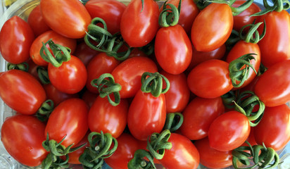 Plum red tomatoes