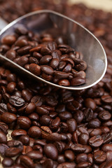 coffee beans in the metal spoon