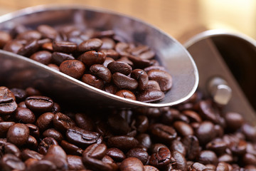 coffee beans in the metal spoon