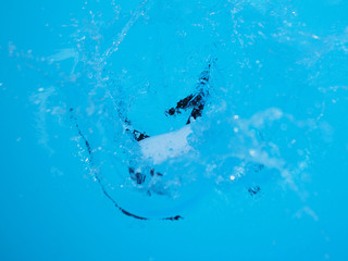 Drone in water. A drone dramatically crashing into the water.