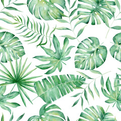 Fototapeta na wymiar Monstera, palm and fern leaves hand drawn seamless pattern illustration