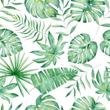 Monstera, palm and fern leaves hand drawn seamless pattern illustration