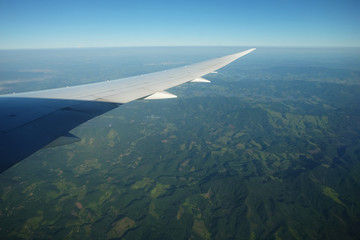 Fototapeta premium The trees under the wing of the plane during the landing. View through the illuminator