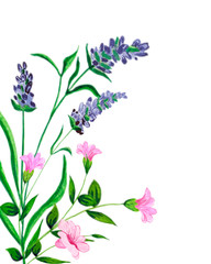 Watercolor.Elegant card with lavender flowers in the style of watercolor paint. Lavender frame and text. Lavender bouquet for your text presentation, for the design of invitations