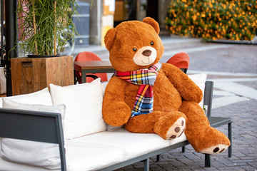 large teddy bear with scarf sitting on the bench