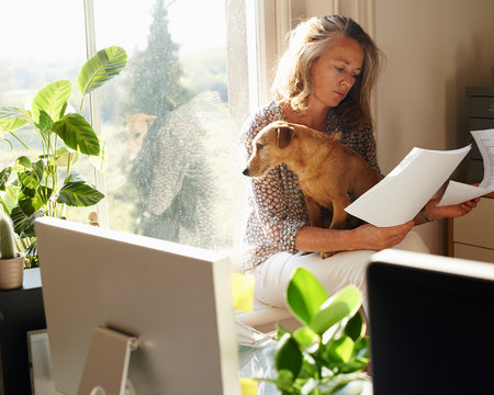 Woman With Dog Reviewing Paperwork In Sunny Home Office