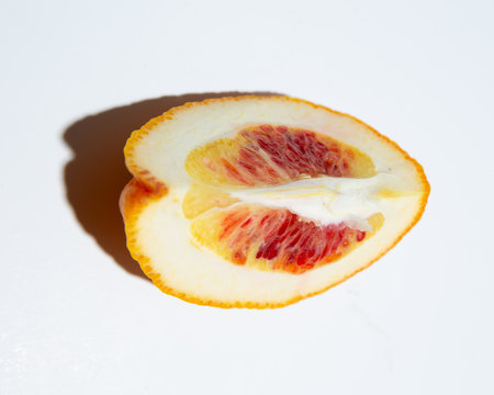 Blood orange slice